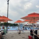 트로페오비토리아 이미지