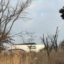 왕산어린이공원 | 개인 턴테이블로 LP감상할 수 있는 인천 영종도 감성카페 사운즈오브선셋 내돈내산 후기