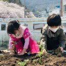 반송1동어린이집 Daum카페