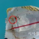 토블론 초콜릿서 구더기 발견 ‘경악’… GS25-매크로통상, 책임은 누가? 이미지