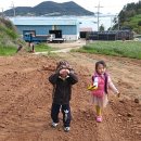 다시마주유소 이미지