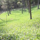 가야산역사신화테마관(지하1층) 이미지