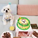 자스민 동물병원 이미지