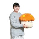 중앙기획