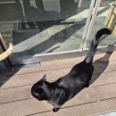 GS25대부바다점 이미지