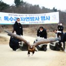 독수리 이미지