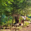 플로팅웨일 설악도적폭포스테이 이미지