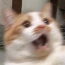 세천로3길 | 일상4 (밀양여행을 곁들인..!)