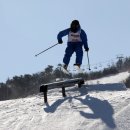 웰리힐리파크 이미지