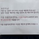 리움동물의료센터 이미지