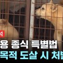 복날이면 개고기 생각 이미지