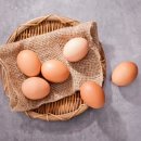 ‘달걀’ 매일 먹지만, 이제껏 몰랐다… 더 신선하고 건강하게 먹으려면? 이미지