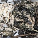 다희농장 이미지