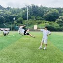 경희대박사태권도 이미지