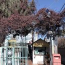 전주 여행 가볼만한 곳 전주난장 7080 레트로 여행 한옥마을 필수 코스, 달고나체험