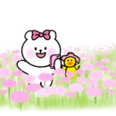 살구실막국수 이미지