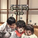 먹보 | 전주 신시가지 맛집 [할머니 손자는 먹보야] 먹보한상 +막걸리 후기