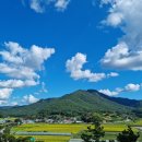 외길농장 이미지