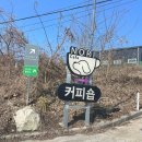 표시노리 이미지