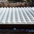 (주)서진팜 이미지