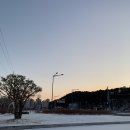 도안동로 이미지