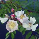 석연농장 이미지