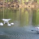 사상워터스 이미지