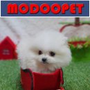 모두와샵 이미지