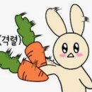 어김없이 돌아온 5월입니다