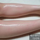 세븐노은 이미지