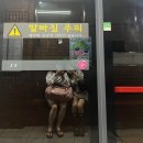 남원송정식품 | 주간일기 챌린지 (5) : 상경 292일차, 순천 호수공원🌿,추석연휴 즐기기 with 광주 / 남원