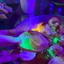 밤밤노래타운 - 영주시 대학로240번길 3 | 밤밤노래타운