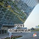 국립해양박물관 | 🏖️초등학생 아들과 함께한 부산 가족여행- 국립해양박물관후기🏖️
