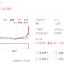대유카 이미지