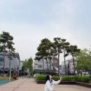 피제이비플러스스포츠