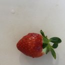 산성식품 | 후기 이유식 딸기 손질 딸기 씻는법 (딸기 씨, 이유식 딸기 언제부터, 딸기 주의사항, 산성 식품)