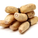 관음포연꽃마을협동조합 이미지