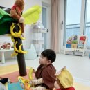 행복한 꼬마 거북이 이미지