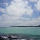 세화항포구 이미지