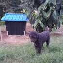 한길3농장 이미지