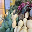 일가약국 | 나트랑 부모님 자유여행 망고 애플망고 미미프루츠