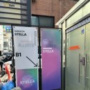 강남 방탈출 비트포비아 강남 던전스텔라 데스티니 앤드 타로