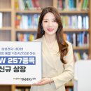 257 이미지