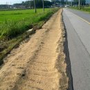 아로니아와 태양초 고추가루 판매 합니다 이미지