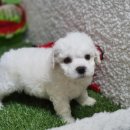 모두와샵 이미지