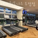 스포데이휘트니스두정점