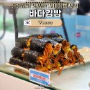 김밥광장 | 여수 바다김밥 본점 갓김치 &amp; 중화어묵 솔직 후기 (이순신광장 맛집)