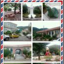 궁류초등학교 이미지