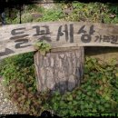 황토와 들꽃세상 이미지