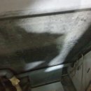 수원-0159 이미지